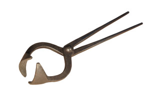 Cat Bit Tongs 